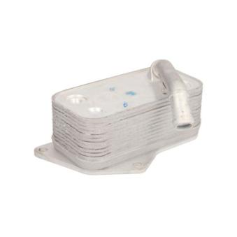 Radiateur d'huile THERMOTEC D4B004TT pour RENAULT R19 325 i - 218cv