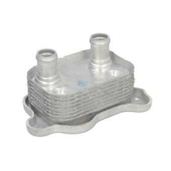 Radiateur d'huile THERMOTEC D4B029TT pour MINI MINI Cooper S - 163cv