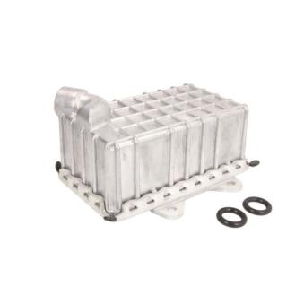 Radiateur d'huile THERMOTEC D4M003TT pour MERCEDES-BENZ CLASSE G G 290 TD - 120cv