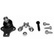 LEMFORDER 10161 07 - Rotule de suspension