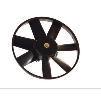 Ventilateur, refroidissement du moteur THERMOTEC D8W014TT pour CITROEN JUMPY 1.9 TDI - 110cv