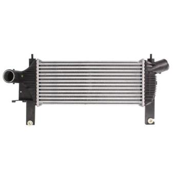 Intercooler, échangeur THERMOTEC DA1001TT pour NISSAN PATHFINDER 2.5 dCi 4WD - 163cv