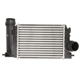 Intercooler, échangeur THERMOTEC DA1006TT pour AUDI A6 1.5 dCi 110 - 110cv