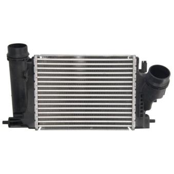 Intercooler, échangeur THERMOTEC [DA1009TT]