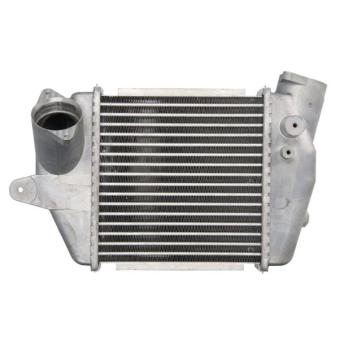 Intercooler, échangeur THERMOTEC DA3005TT pour VOLKSWAGEN AMAROK 2.0 CD - 110cv
