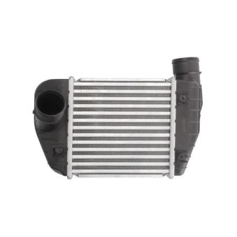 Intercooler, échangeur THERMOTEC [DAA013TT]