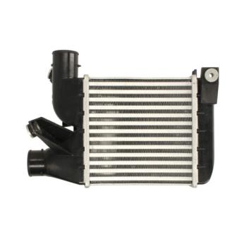 Intercooler, échangeur THERMOTEC DAB021TT pour BMW Série 5 525 td - 116cv