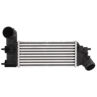 Intercooler, échangeur THERMOTEC [DAC005TT]