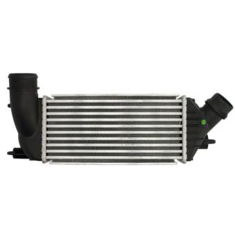 Intercooler, échangeur THERMOTEC DAC011TT pour CITROEN JUMPY 2.0 HDi 125 - 128cv