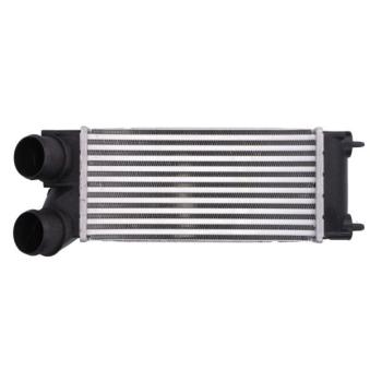 Intercooler, échangeur THERMOTEC [DAC013TT]