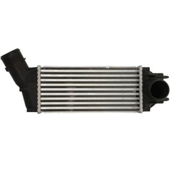 Intercooler, échangeur THERMOTEC [DAC016TT]