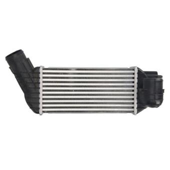 Intercooler, échangeur THERMOTEC [DAC017TT]