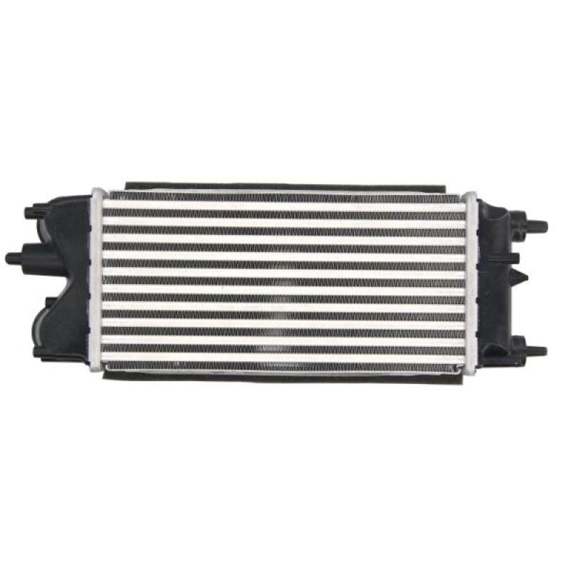 Intercooler, échangeur THERMOTEC DAG018TT - Visuel 1