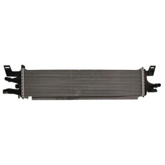 Radiateur basse température, intercooler THERMOTEC DAG020TT pour RENAULT R21 1.5 EcoBlue - 101cv