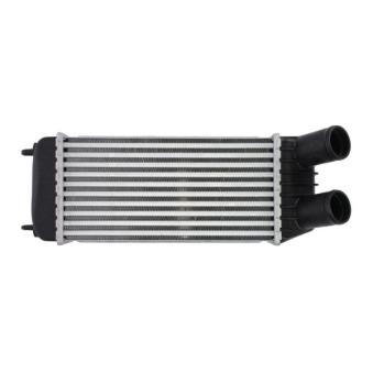 Intercooler, échangeur THERMOTEC [DAP006TT]