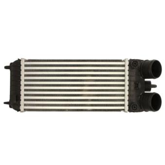 Intercooler, échangeur THERMOTEC [DAP007TT]