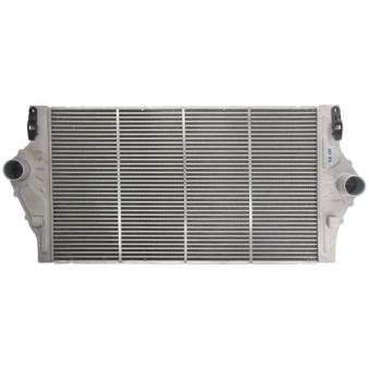 Intercooler, échangeur THERMOTEC DAR025TT pour BMW Série 1 2.0 DCI - 173cv
