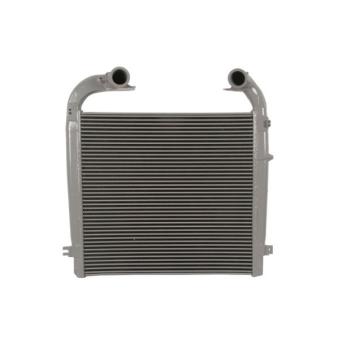 Refroidisseur d'air de suralimentation THERMOTEC OEM 1900501
