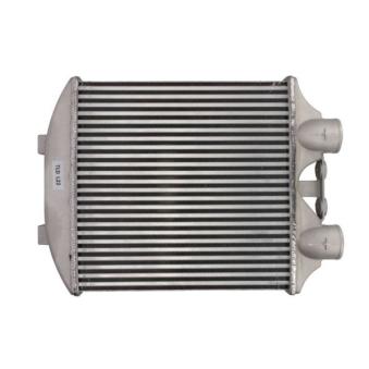 Intercooler, échangeur THERMOTEC DAT003TT pour SEAT IBIZA 1.8 T Cupra R - 180cv