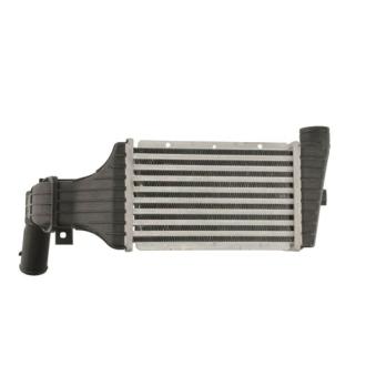 Intercooler, échangeur THERMOTEC [DAX001TT]