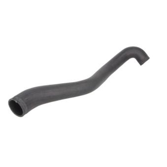 Gaine de suralimentation THERMOTEC OEM 11612247325