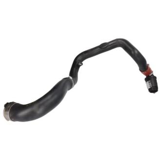 Gaine de suralimentation THERMOTEC OEM 95519172