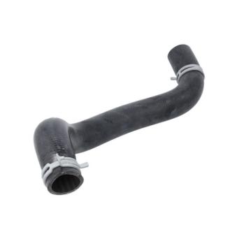 Durite de radiateur THERMOTEC [DW0527TT]