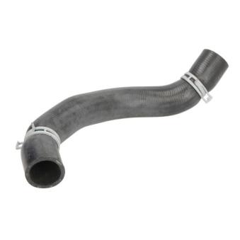 Durite de radiateur THERMOTEC DW0576TT pour PORSCHE 968 1.6 CRDi 110 - 110cv