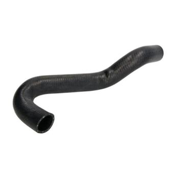 Durite de radiateur THERMOTEC DW1007TT pour MAZDA PREMACY 1.4 - 88cv