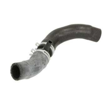 Durite de radiateur THERMOTEC [DW1016TT]