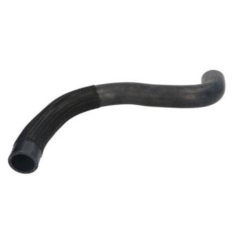 Durite de radiateur THERMOTEC [DW1023TT]