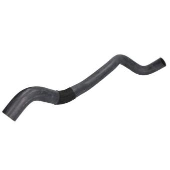 Durite de radiateur THERMOTEC DW1055TT pour NISSAN NAVARA 2.5 dCi - 163cv