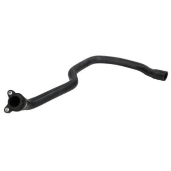 Durite de radiateur THERMOTEC OEM 11537550062