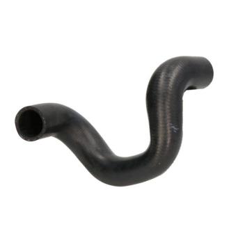 Durite de radiateur THERMOTEC OEM 1343CQ