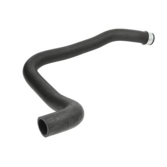 Durite de radiateur THERMOTEC OEM 1351JG