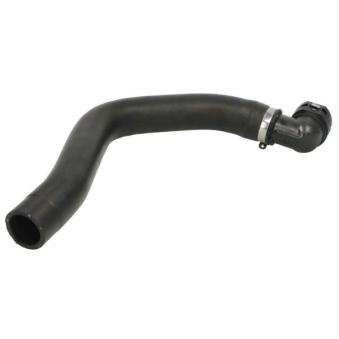 Durite de radiateur THERMOTEC DWD031TT pour ALFA ROMEO 147 1.6 16V TS - 120cv