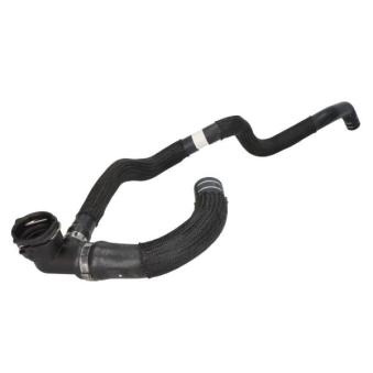 Durite de radiateur THERMOTEC [DWF001TT]