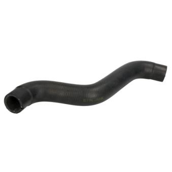 Durite de radiateur THERMOTEC OEM 51793491
