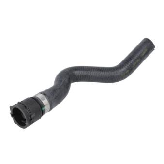 Durite de radiateur THERMOTEC DWF099TT