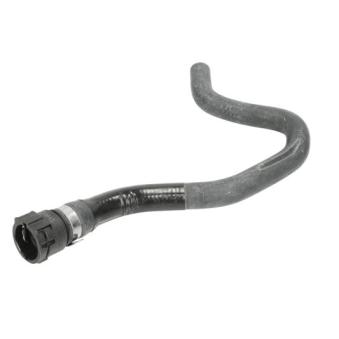 Durite de radiateur THERMOTEC [DWF137TT]