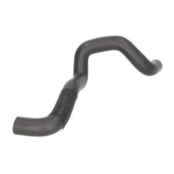 Durite de radiateur THERMOTEC DWG039TT pour FORD FOCUS 1.4 16V - 75cv