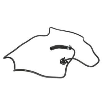 Durite de radiateur THERMOTEC DWG124TT pour AUDI A4 1.5 EcoBoost - 182cv