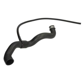 Durite de radiateur THERMOTEC DWM002TT pour MERCEDES-BENZ CLASSE C C 240 - 170cv