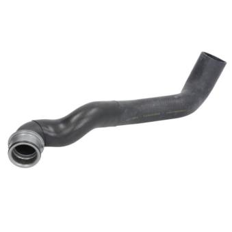 Durite de radiateur THERMOTEC [DWM006TT]