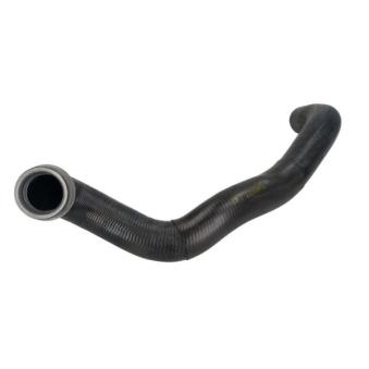 Durite de radiateur THERMOTEC DWM009TT pour MERCEDES-BENZ CLASSE E E 270 T CDI - 163cv