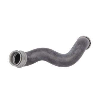 Durite de radiateur THERMOTEC [DWM024TT]