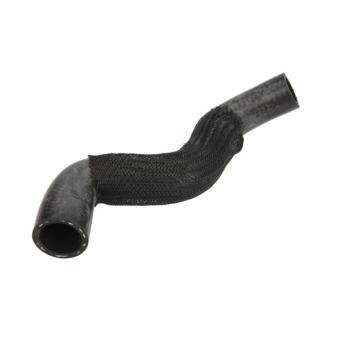 Durite de radiateur THERMOTEC [DWM124TT]