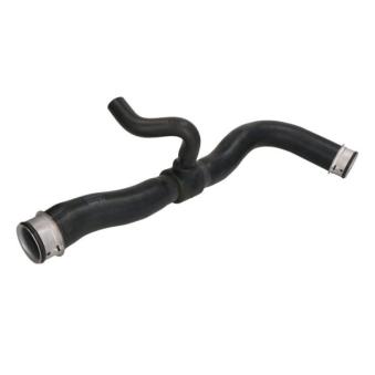 Durite de radiateur THERMOTEC [DWM164TT]