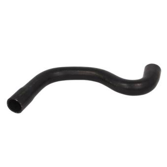 Durite de radiateur THERMOTEC [DWP005TT]