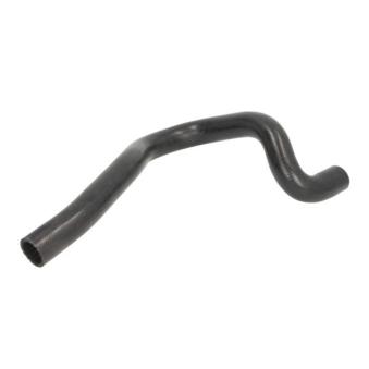 Durite de radiateur THERMOTEC [DWP110TT]